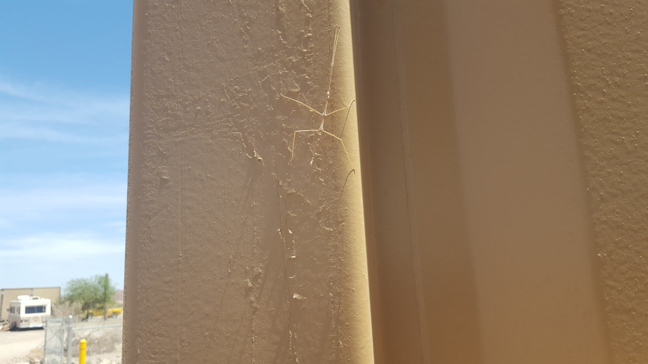 20180508_113932.jpg