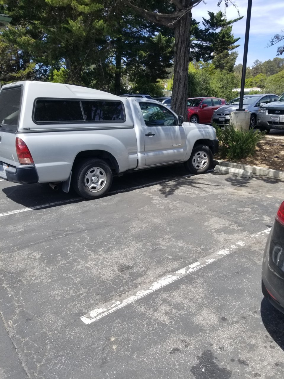 20180508_130121.jpg