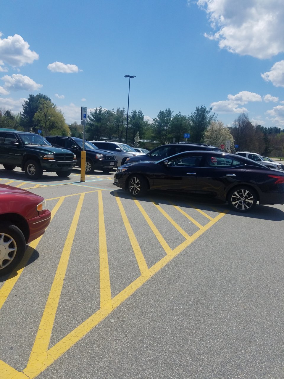 20180508_131306.jpg