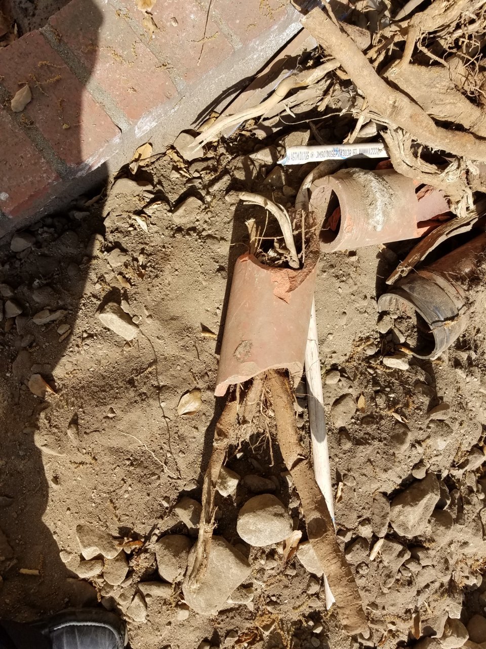 20180508_160503.jpg