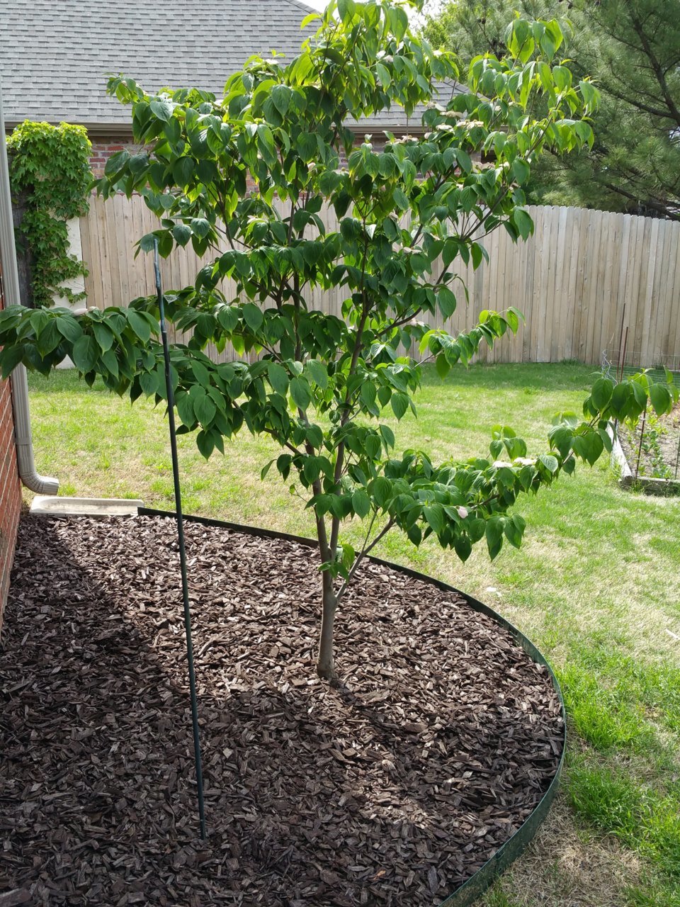 20180508_161751.jpg