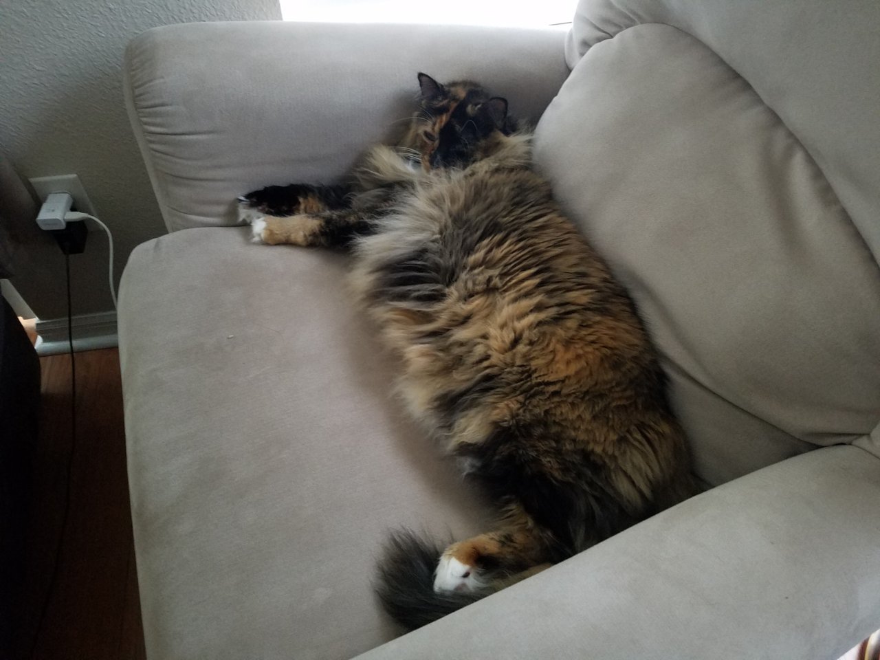 20180508_181356.jpg