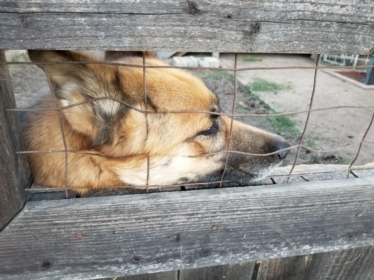 20180508_191226.jpg