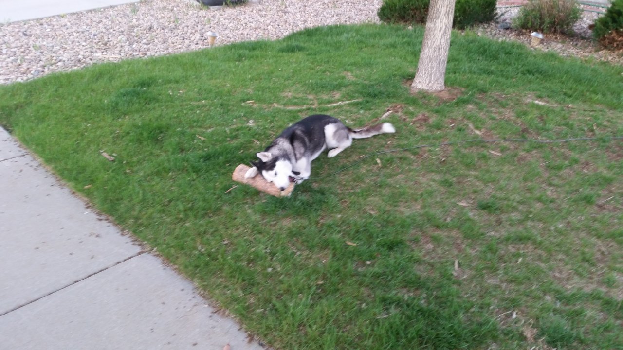 20180508_194849.jpg
