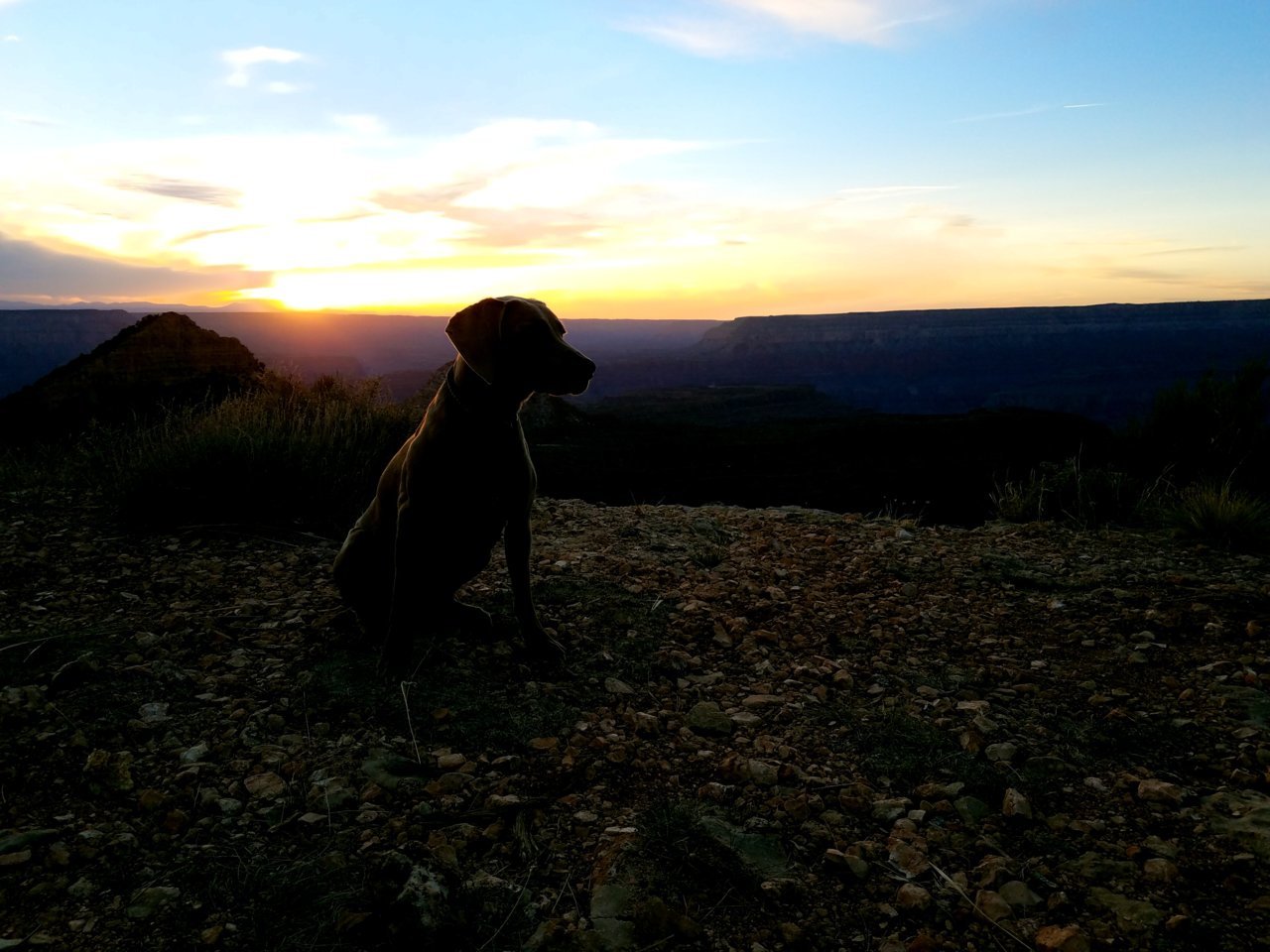 20180508_201640.jpg