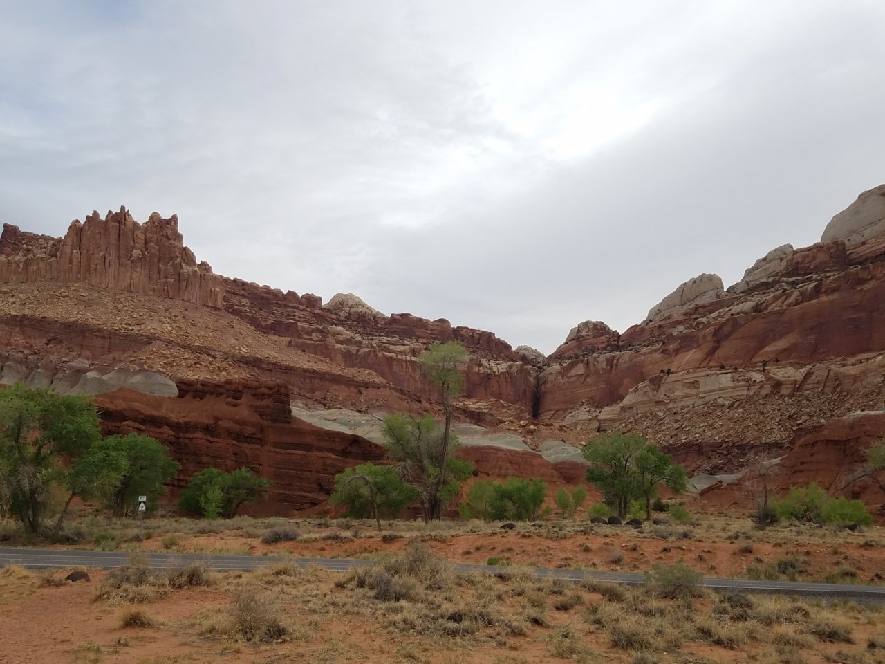 20180509_081155.jpg