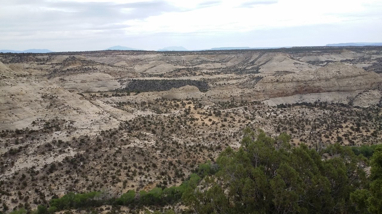 20180509_085904.jpg