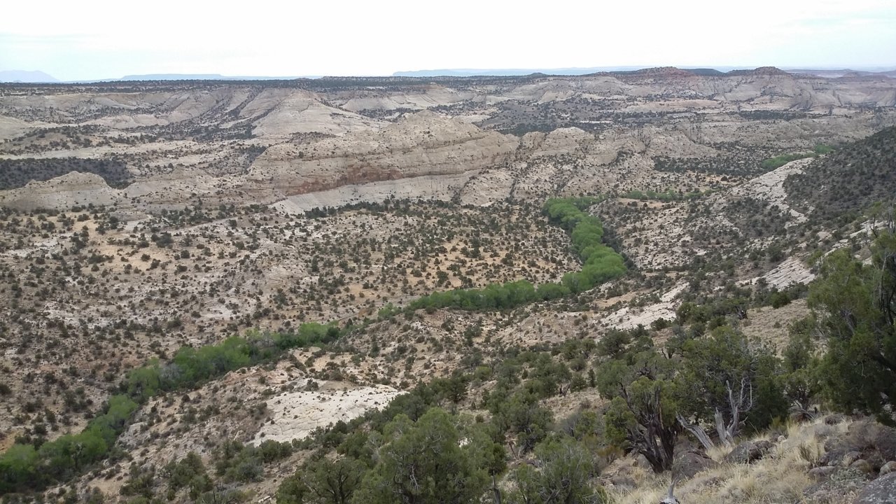 20180509_085922.jpg