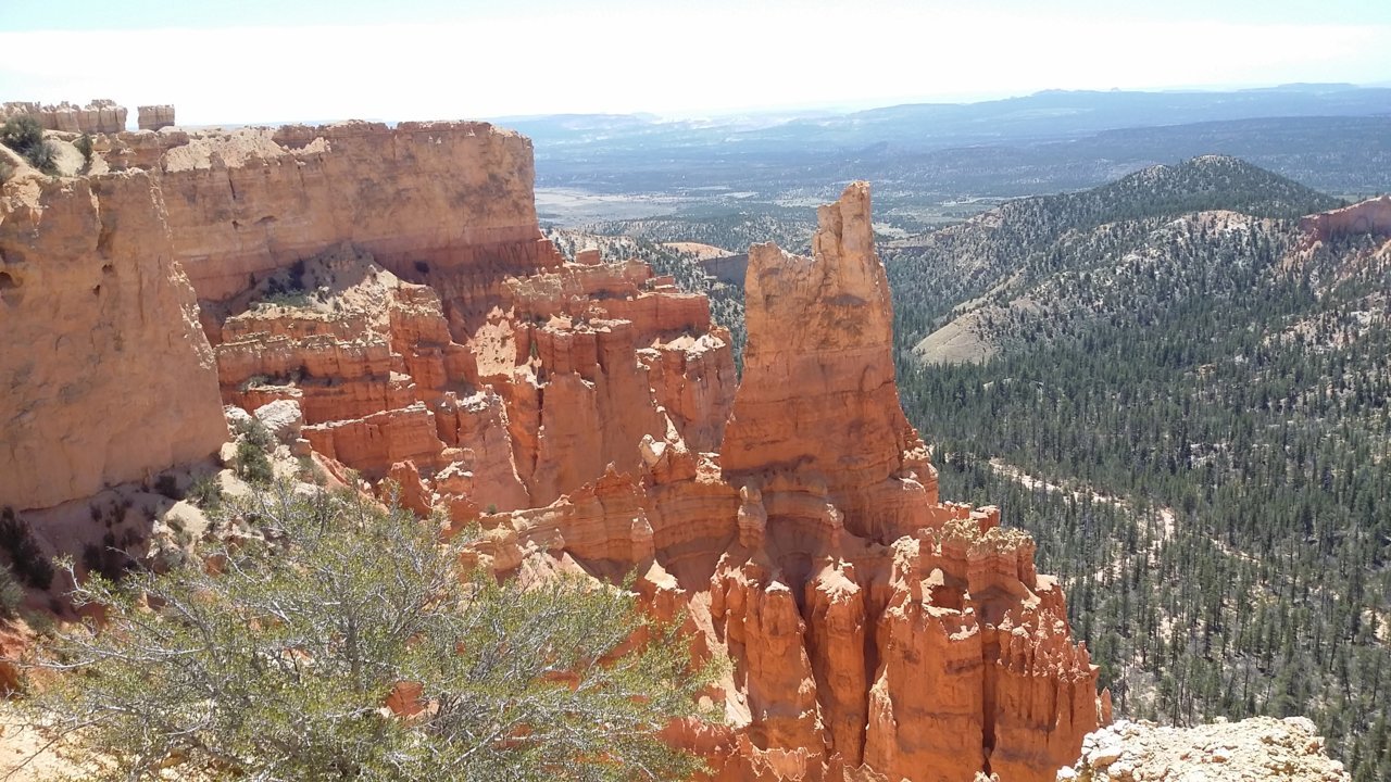 20180509_113235.jpg