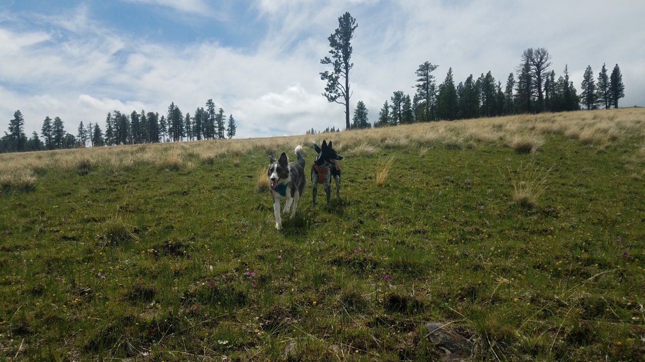 20180509_120051.jpg