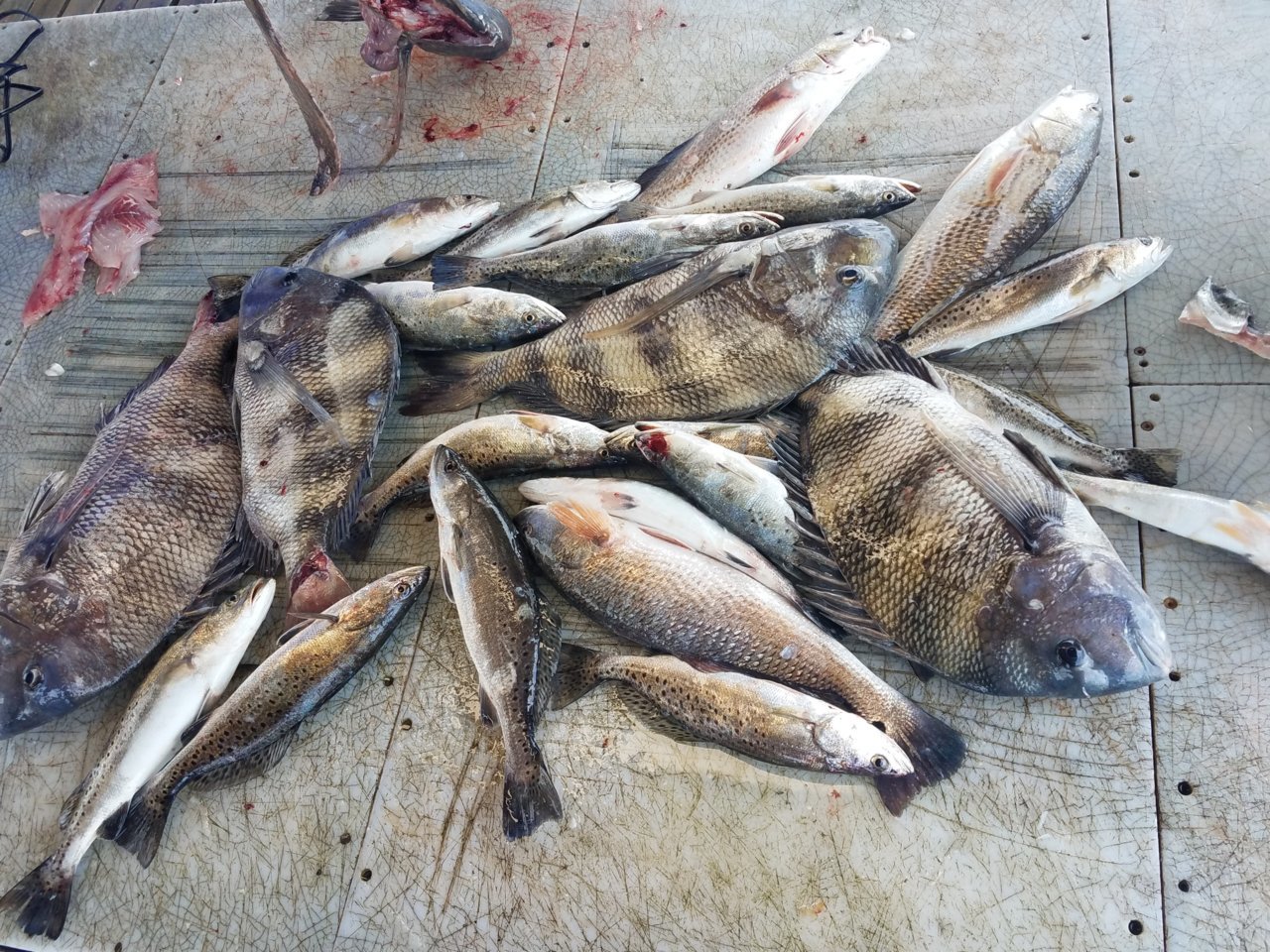 20180509_123923.jpg