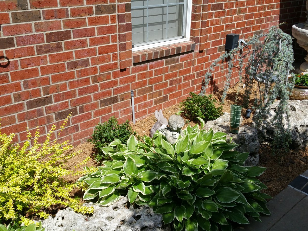20180510_111314.jpg