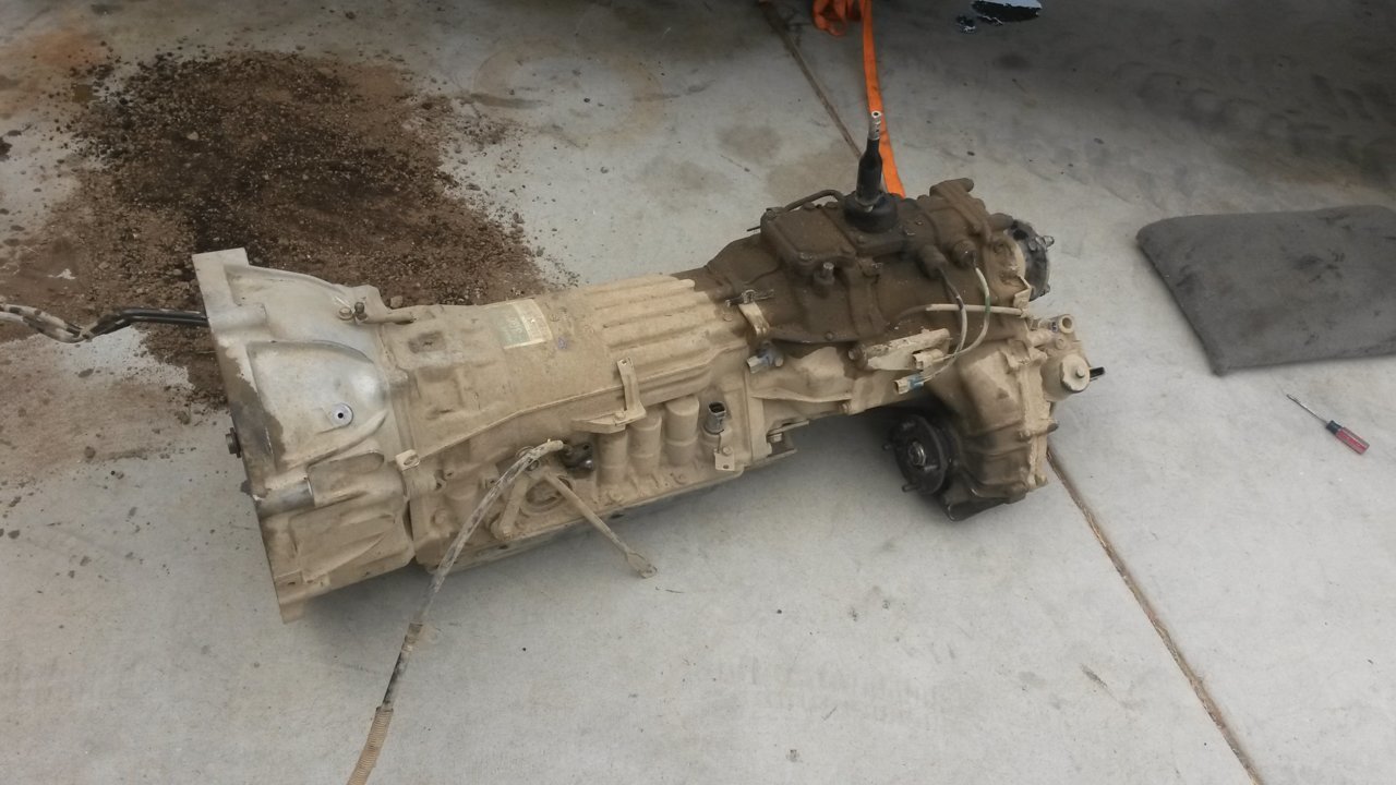 20180510_165055.jpg
