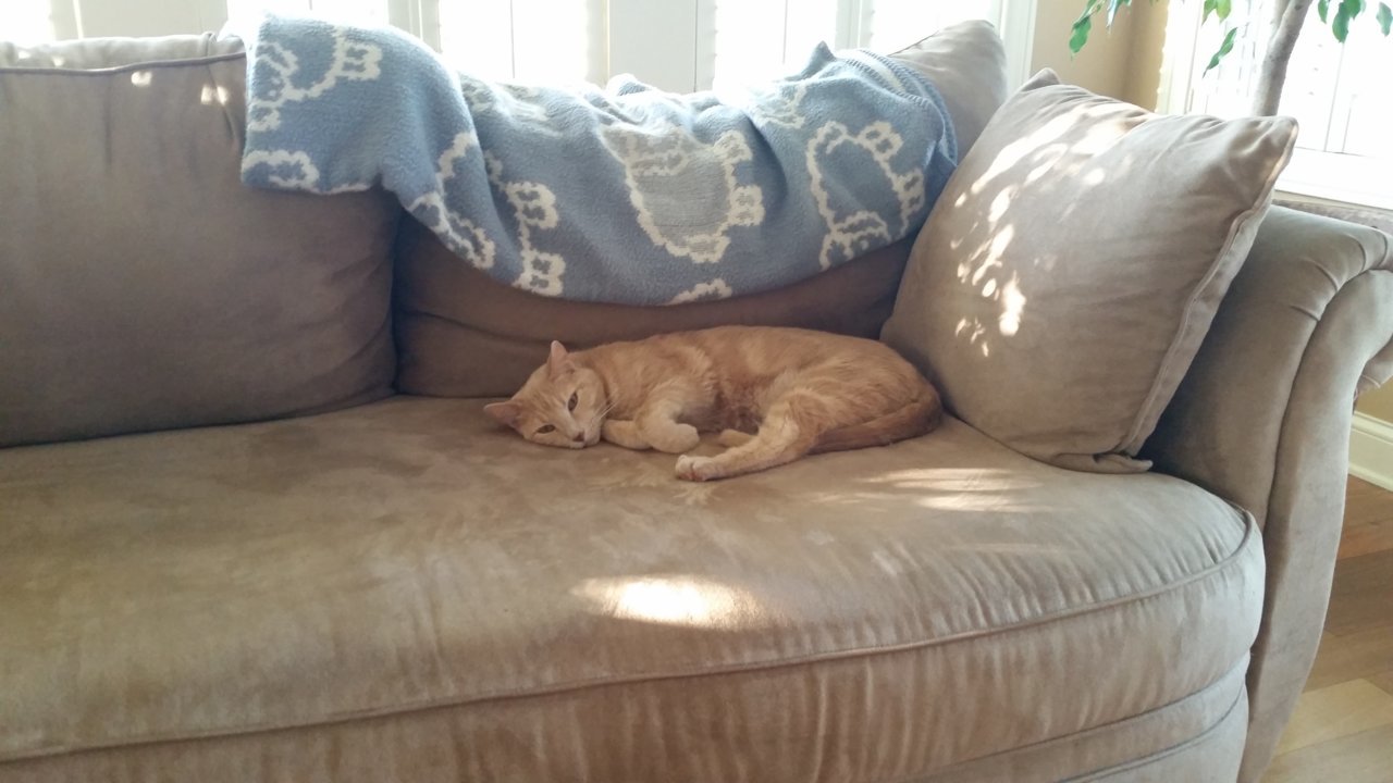 20180510_190756.jpg