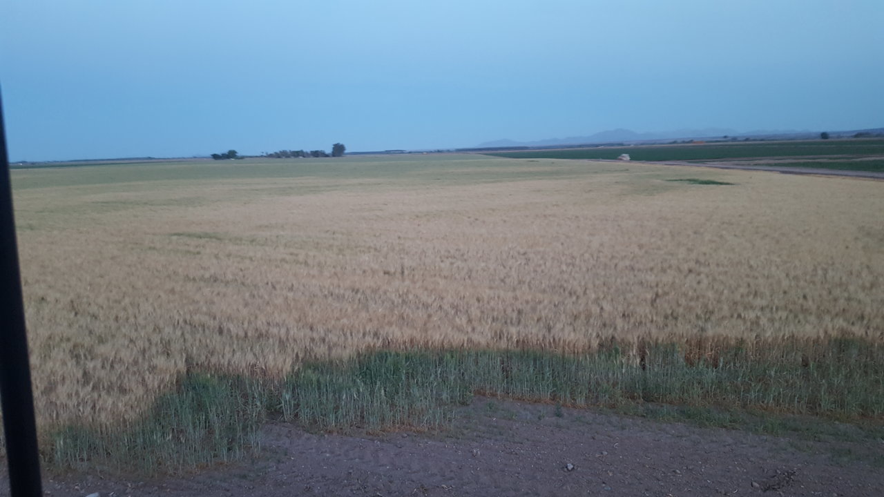 20180511_053246.jpg