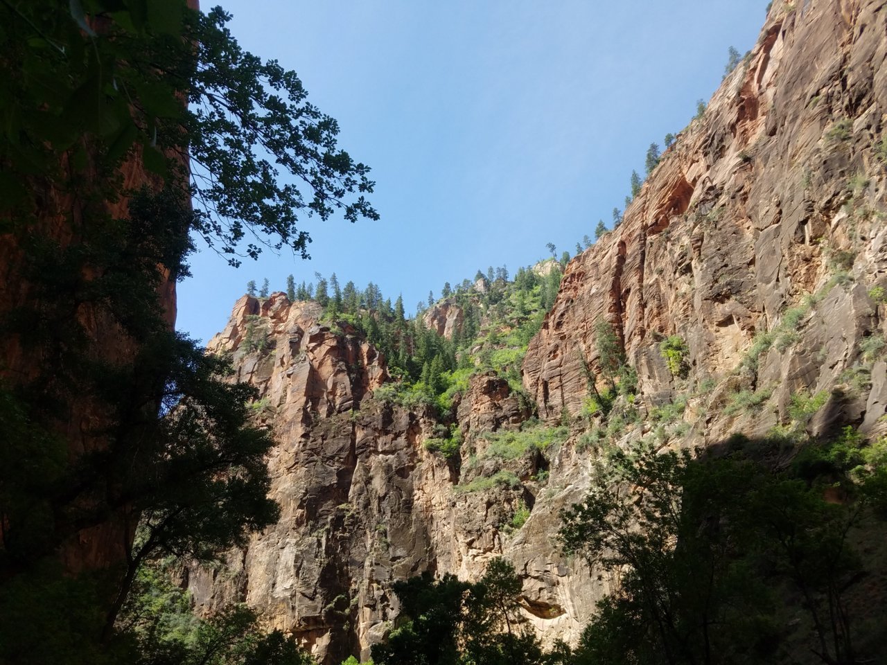20180511_105253.jpg