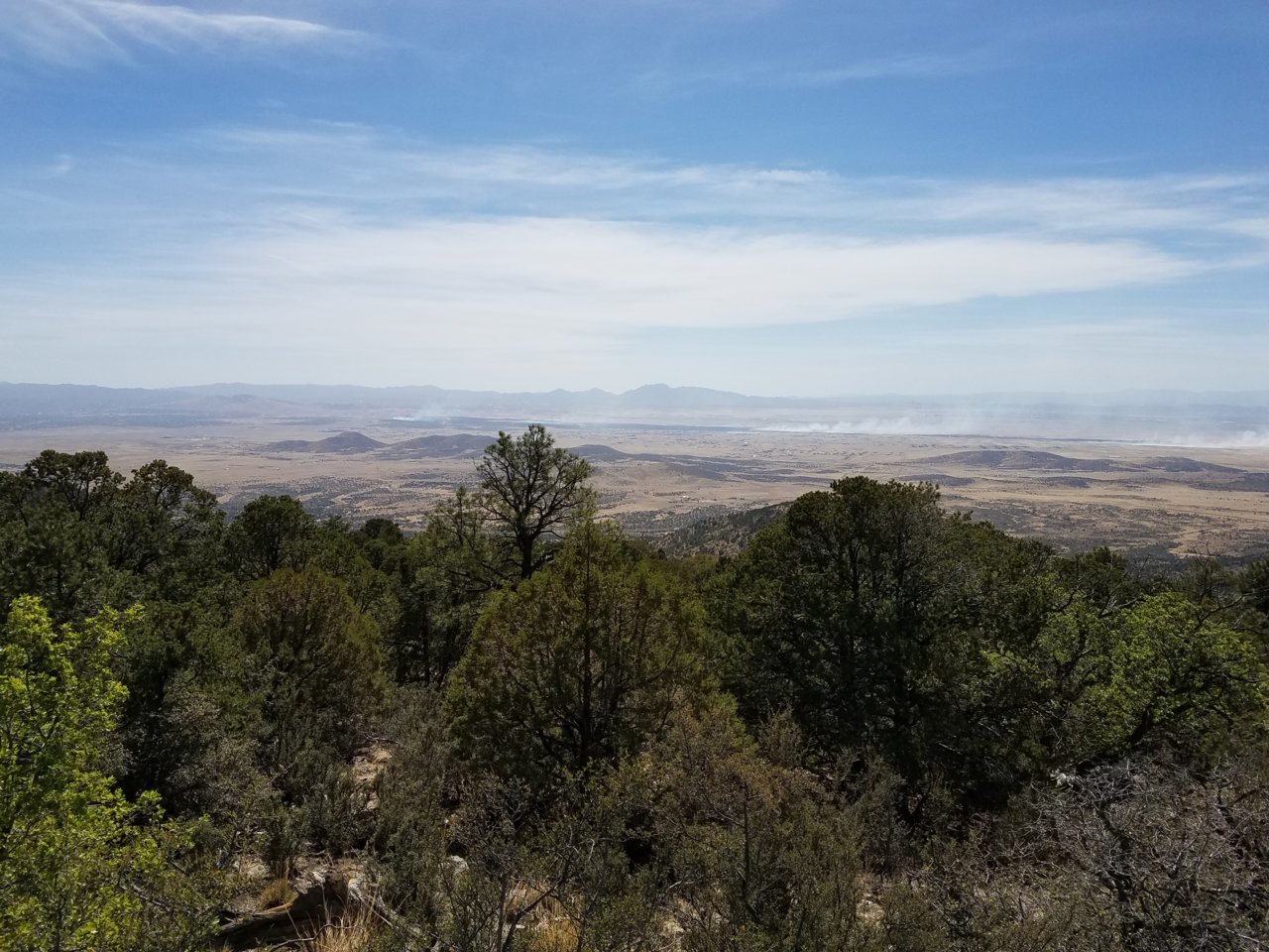 20180511_150630.jpg