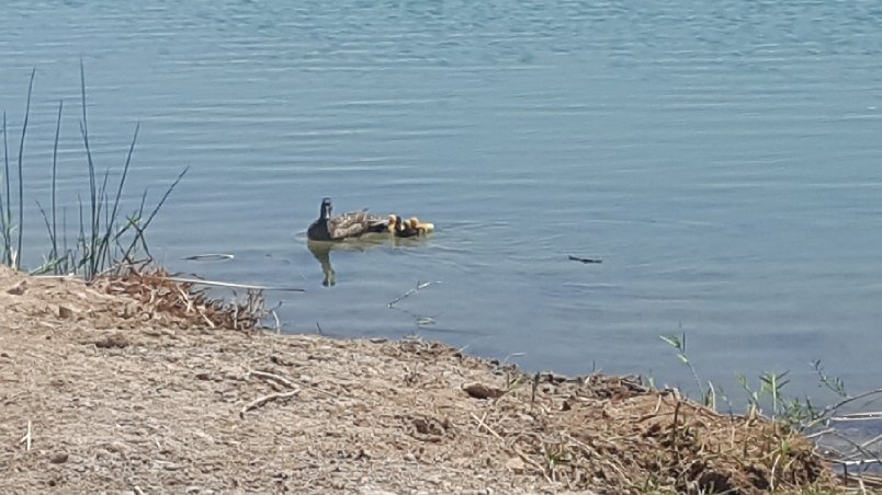 20180511_152645.jpg