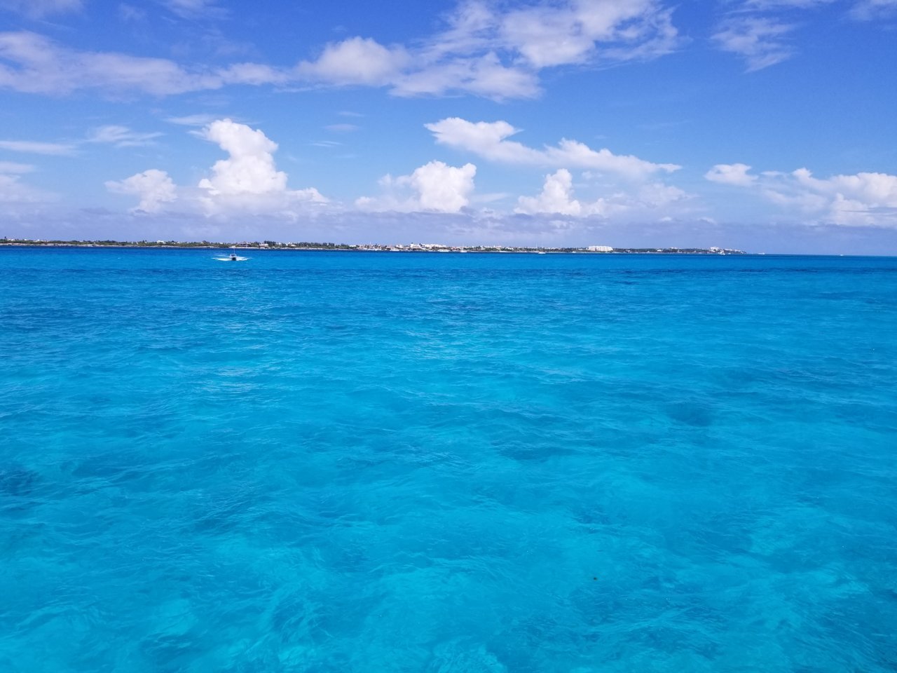 20180511_153821.jpg