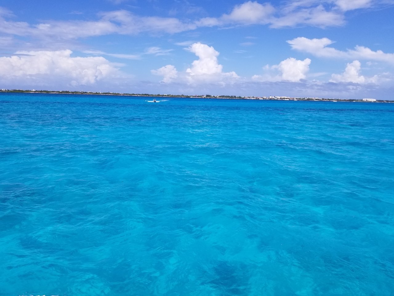 20180511_153824.jpg