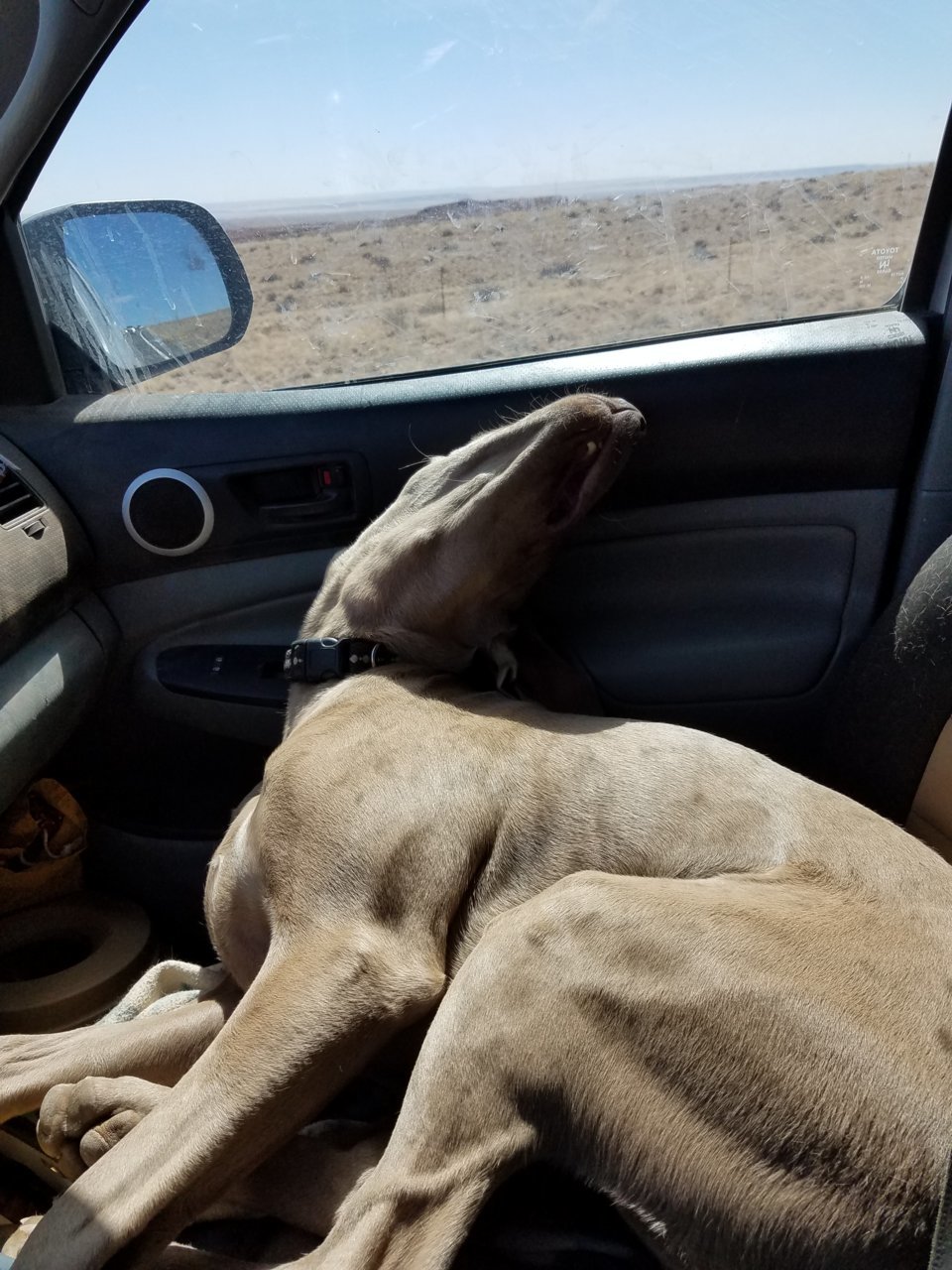 20180512_093205.jpg