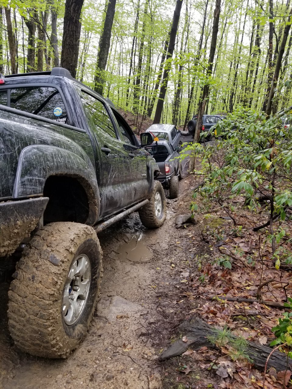 20180512_095154.jpg