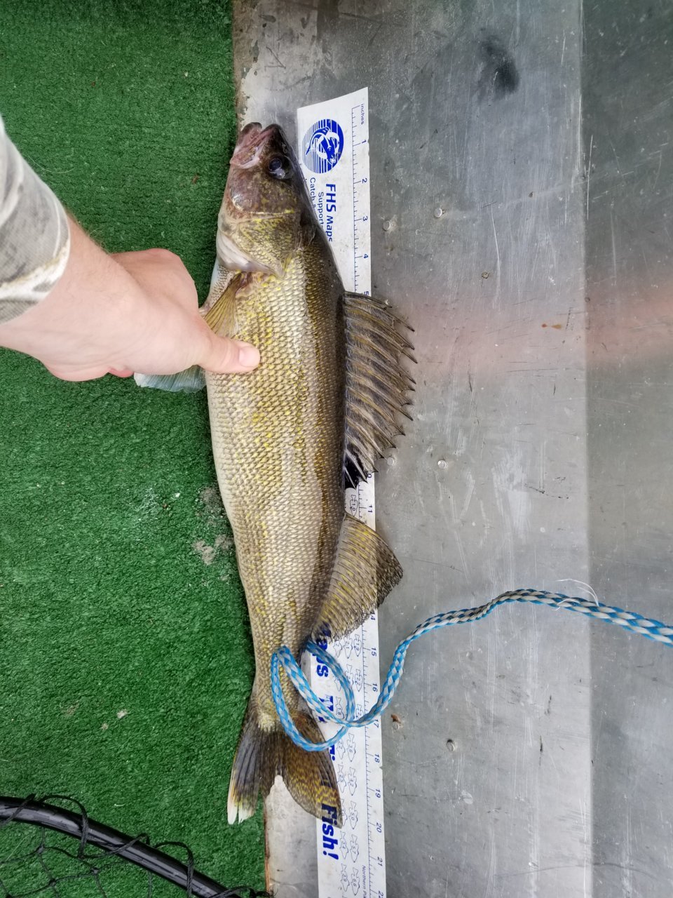 20180512_125756.jpg