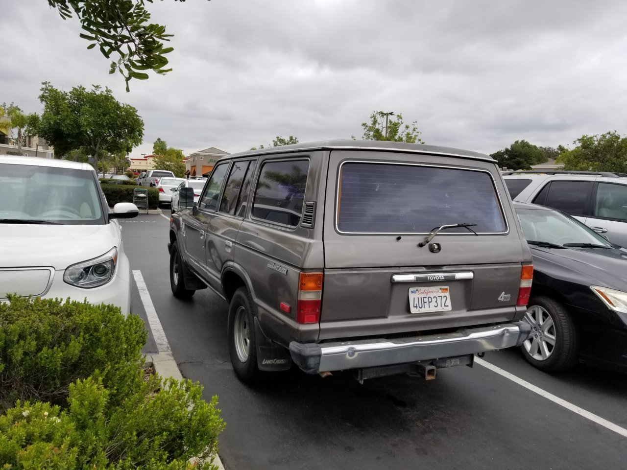 20180512_135137.jpg