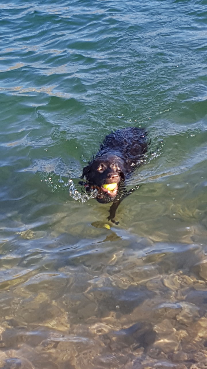 20180512_171301.jpg