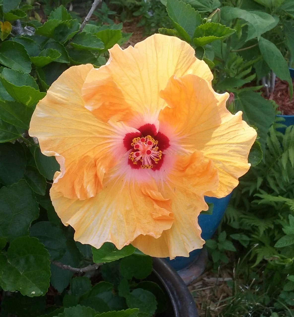 20180512_175341.jpg