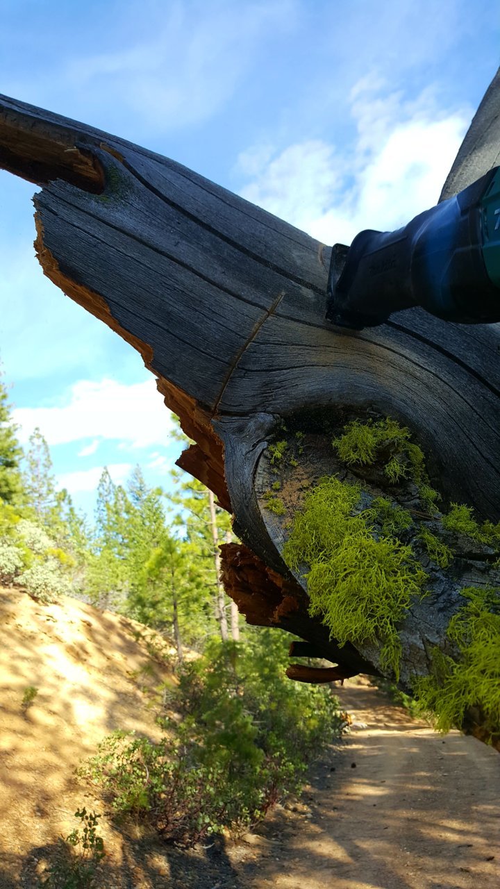 20180512_181434.jpg