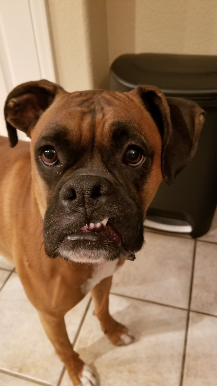 20180512_184542.jpg