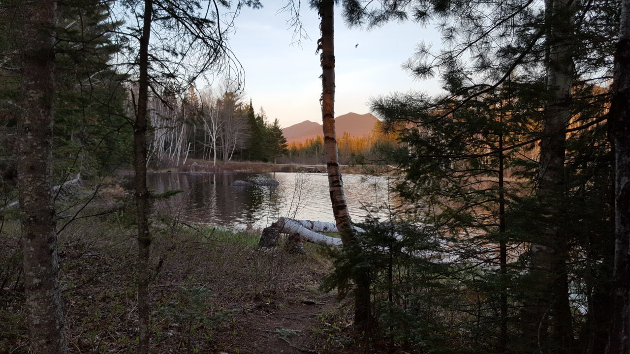 20180512_194830.jpg