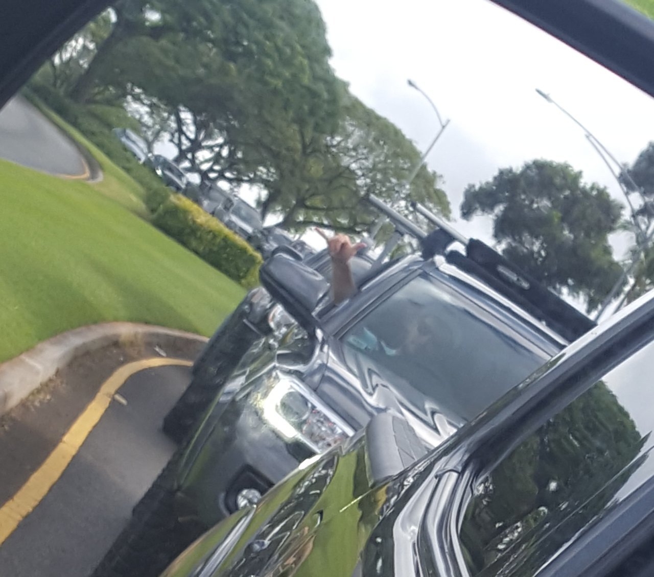 20180512_201224.jpg