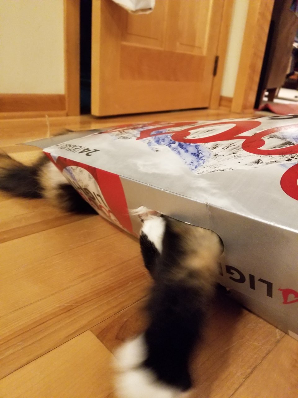 20180512_211829.jpg