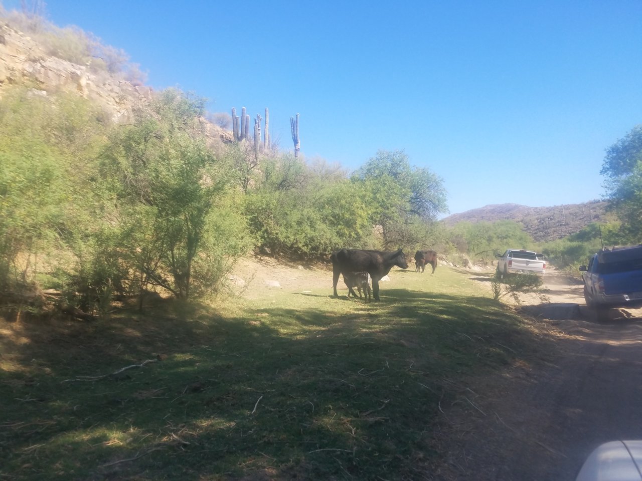 20180513_084254.jpg