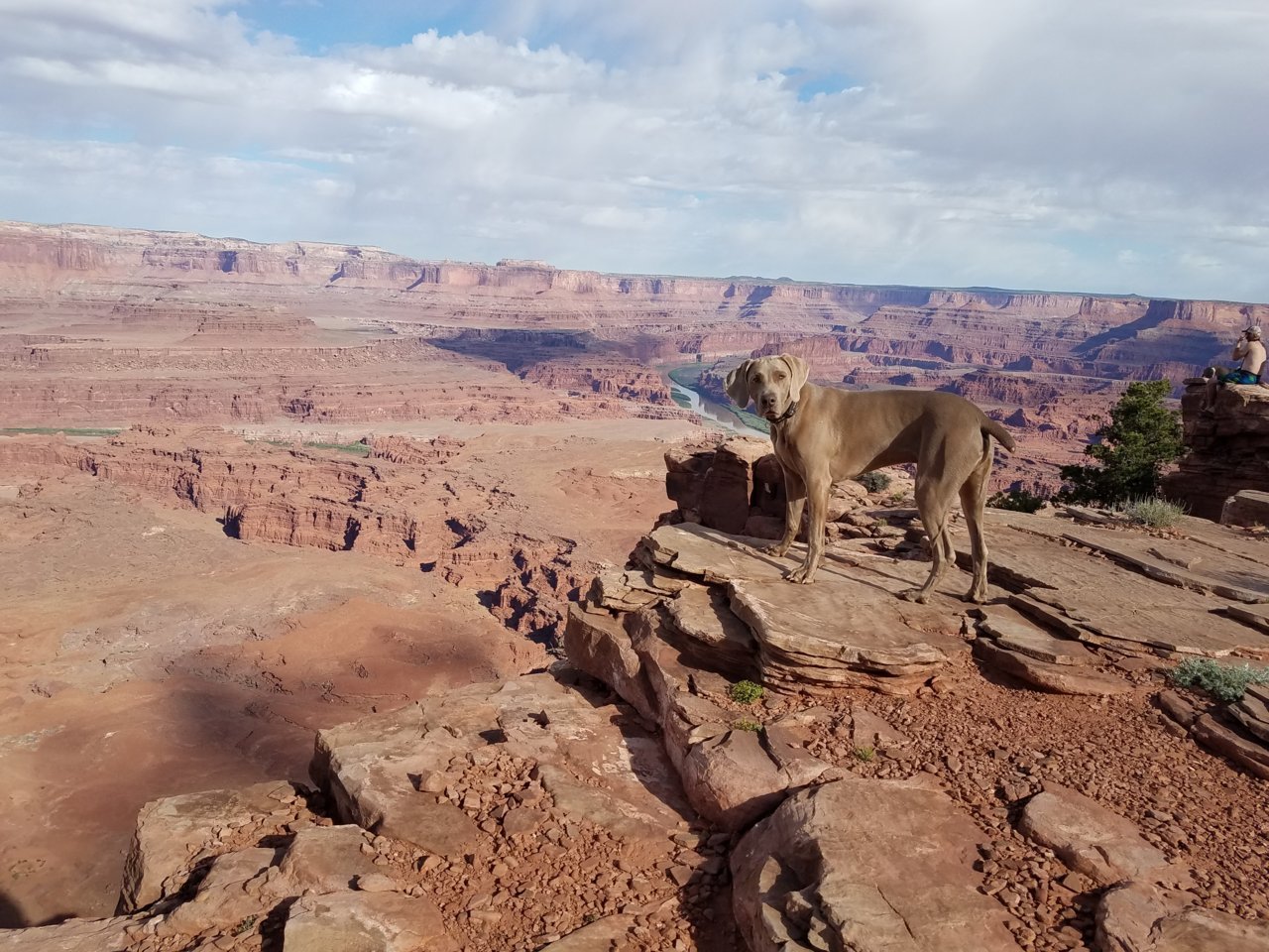 20180513_085507.jpg