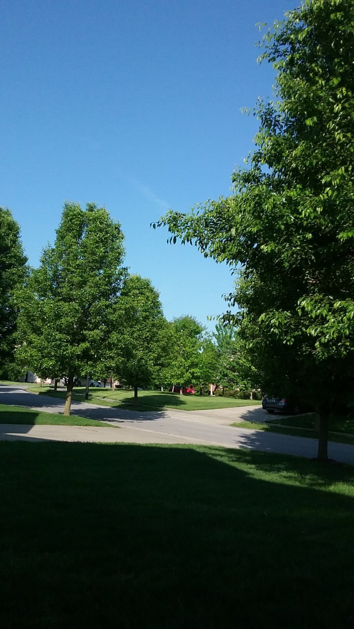 20180513_085628.jpg