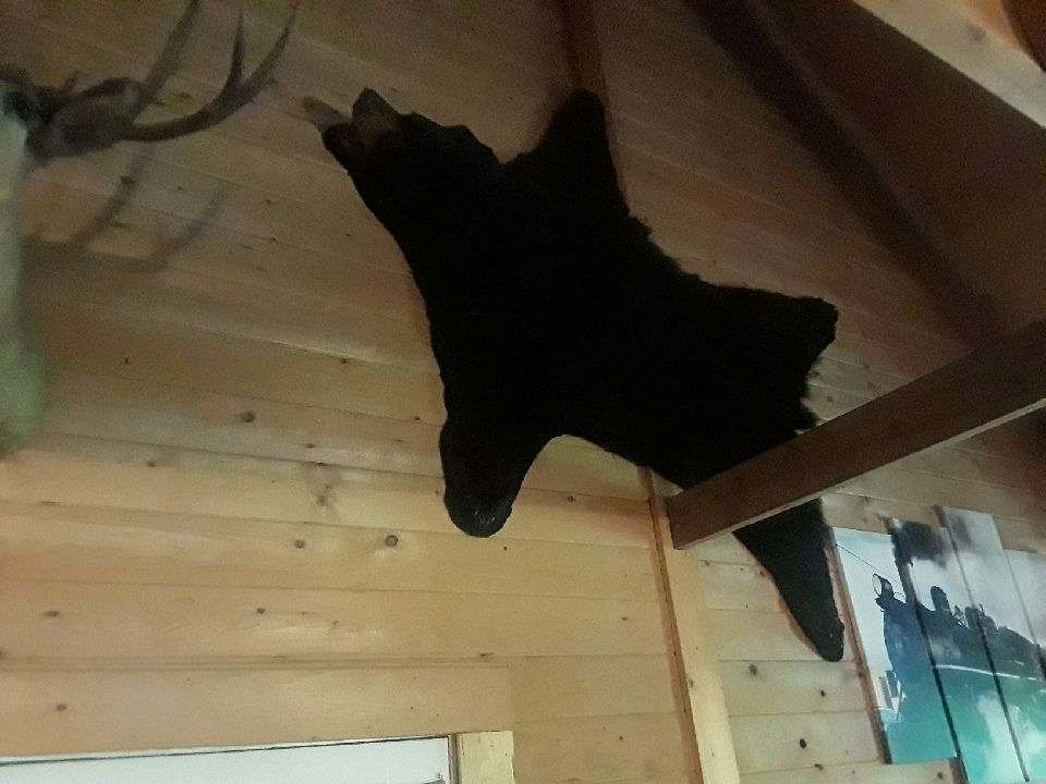 20180513_141854_1526235546481.jpg