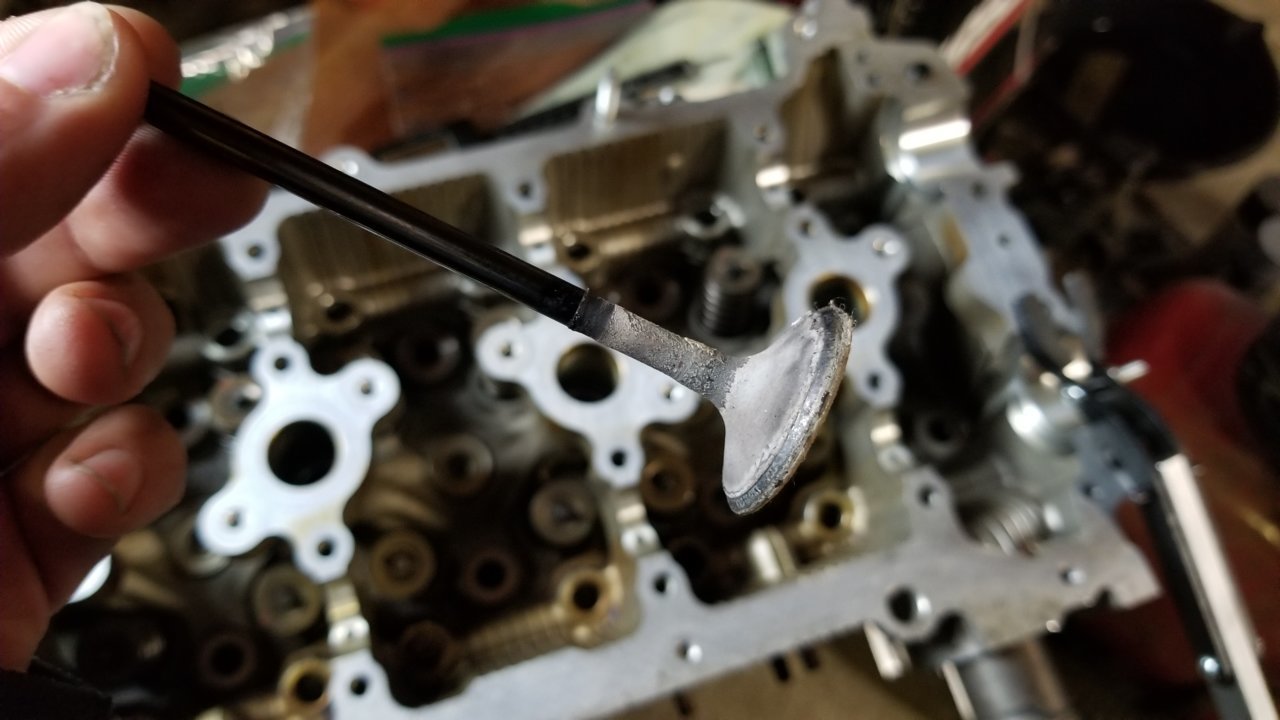 20180513_163932.jpg