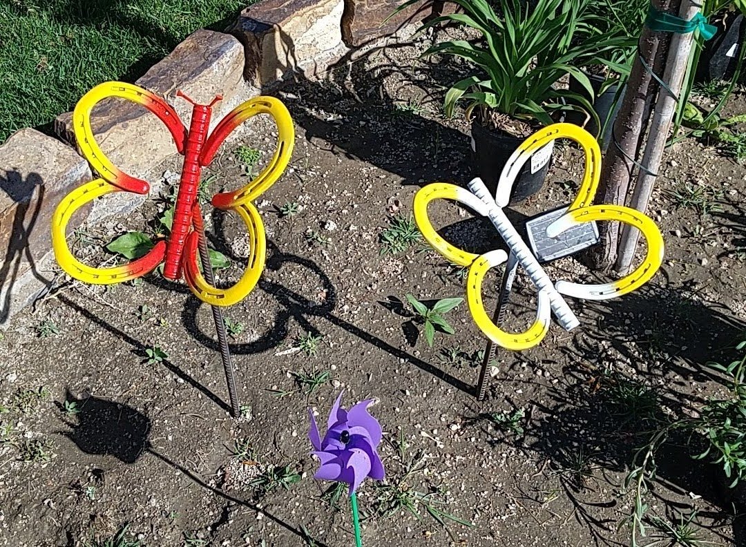 20180513_164413.jpg