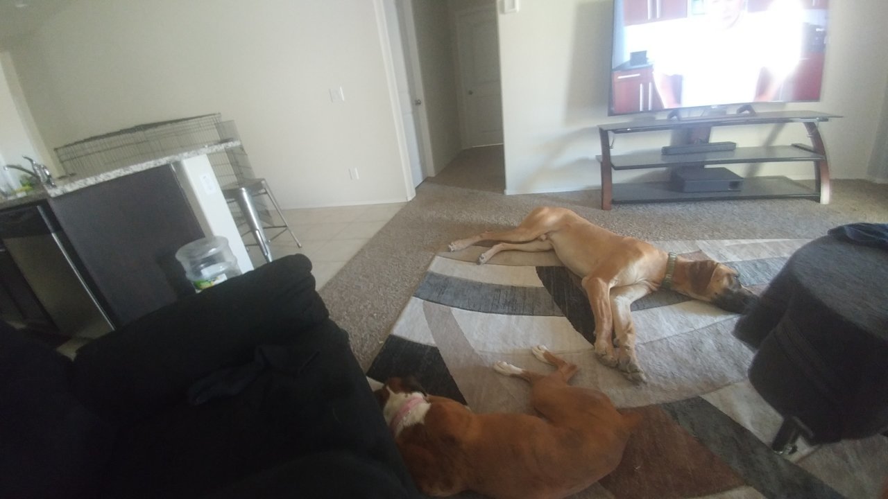 20180514_090305.jpg
