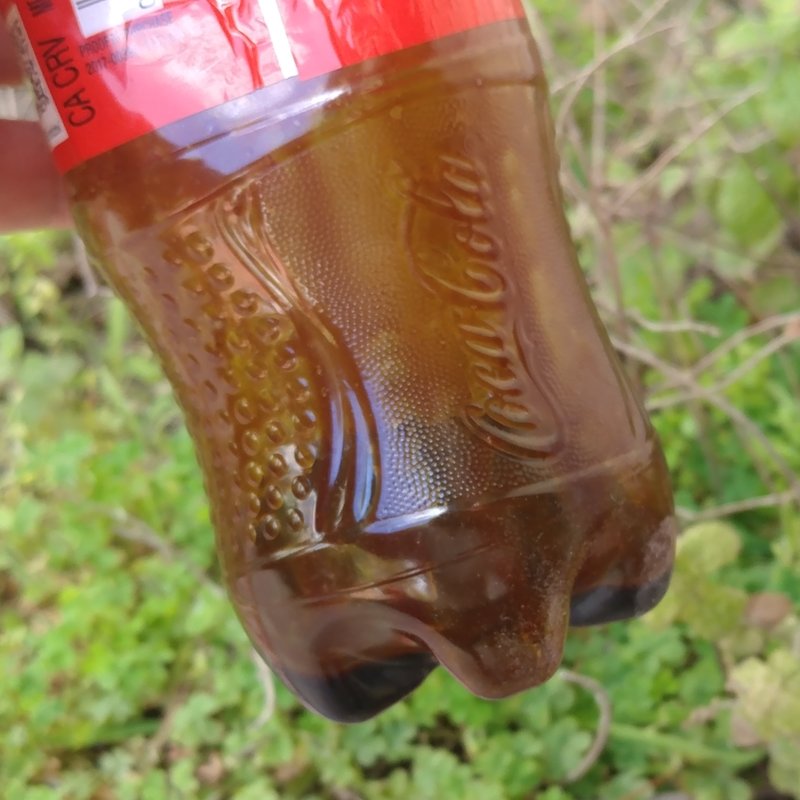 20180514_120907-01.jpg