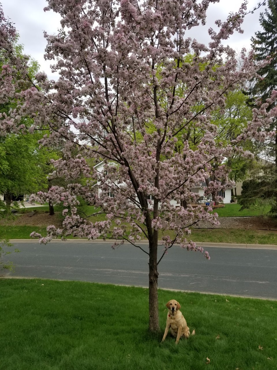 20180514_125233.jpg