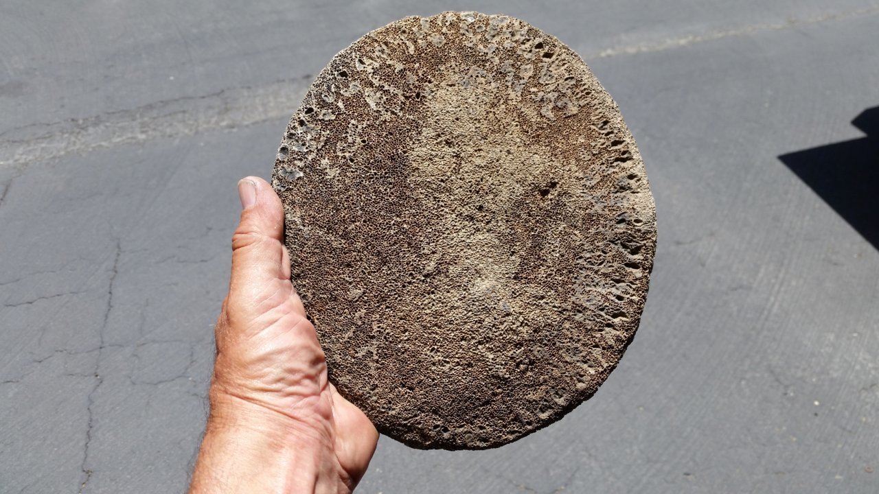 20180514_131903.jpg