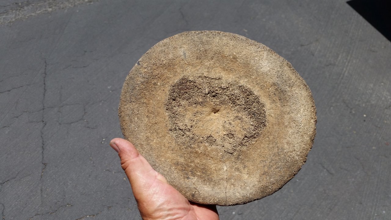 20180514_131913.jpg