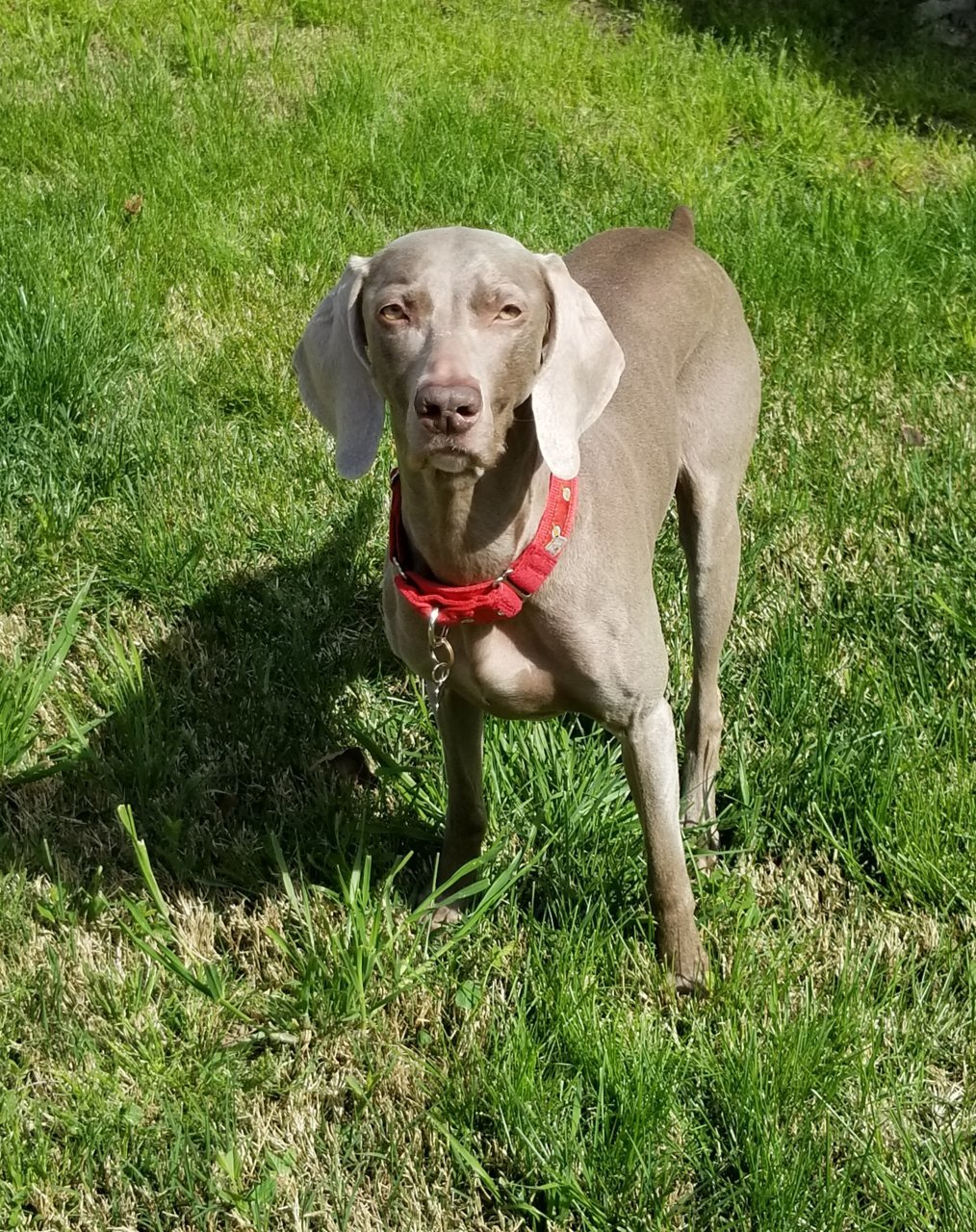 20180515_043141.jpg
