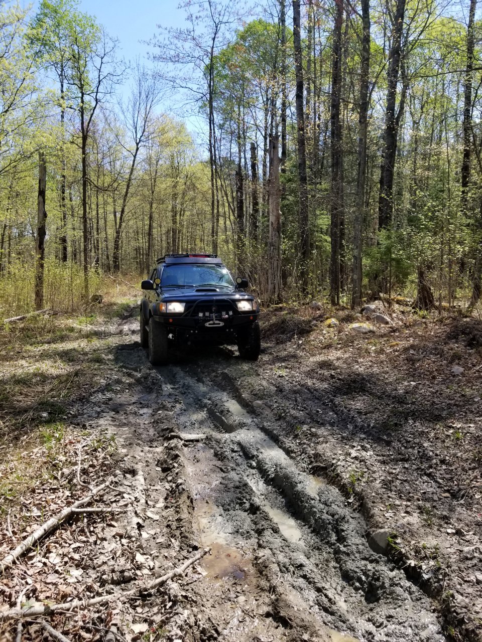 20180515_113747.jpg