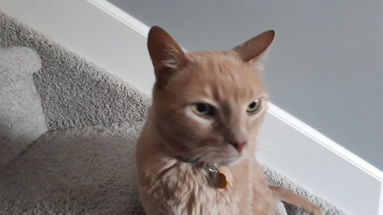 20180516_083700.jpg