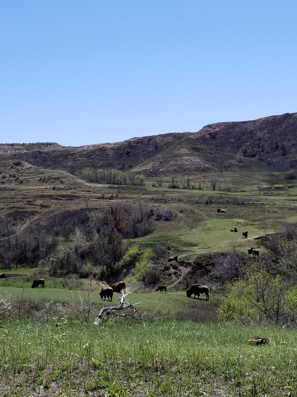 20180516_130229.jpg